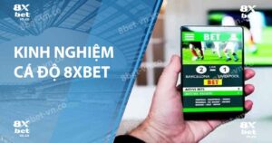 kinh nghiệm cá độ 8xbet