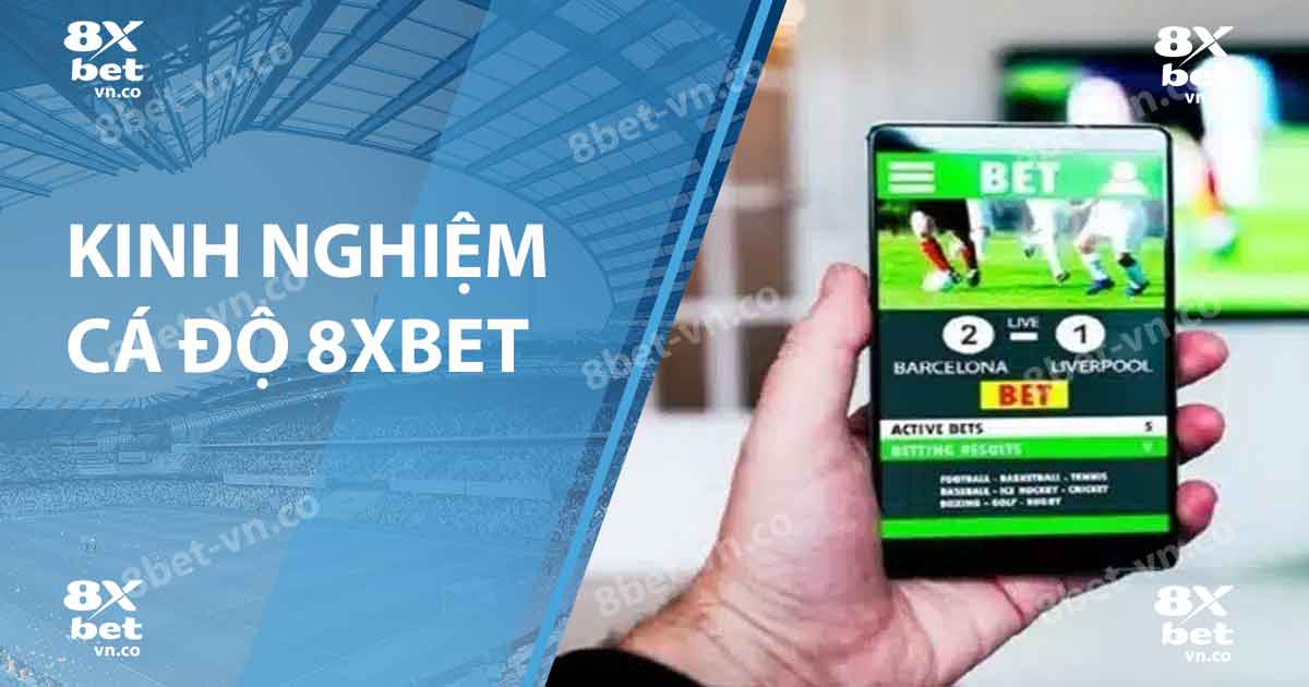 kinh nghiệm cá độ 8xbet